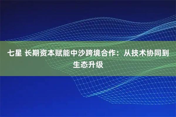 七星 长期资本赋能中沙跨境合作：从技术协同到生态升级