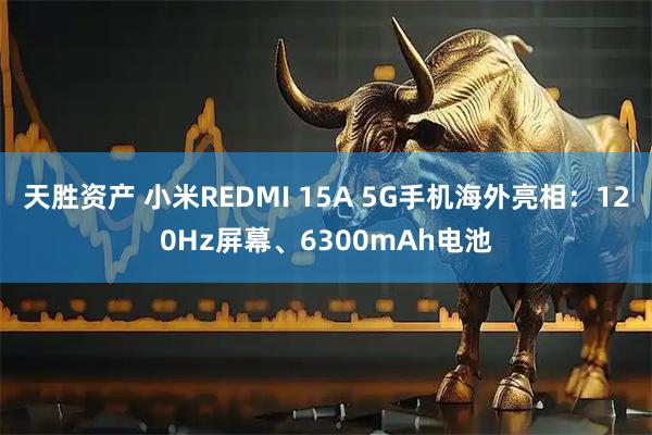 天胜资产 小米REDMI 15A 5G手机海外亮相:120Hz屏幕、6300mAh电池